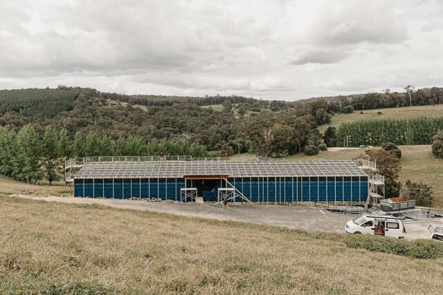 Our Wellington Mill project getting wrapped using only the best membranes from @proclimaau 

Windows installed this week and the building will be weathertight!
Photos - Jordan Hendy. @the_lean_architect 
@airbossdan

#saltusbuilt #passivehouse #perthbuilders #timberframehouse #timberframe #passivhaus #passivhausdesign #highperformancehomes